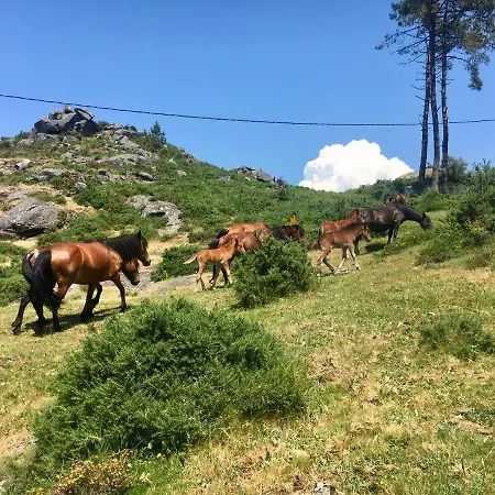 Landsted A Lonquexa Do Ganan *