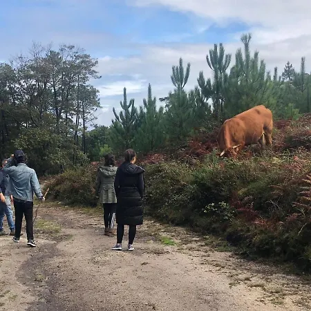 A Lonquexa Do Ganan Landsted Gondomar