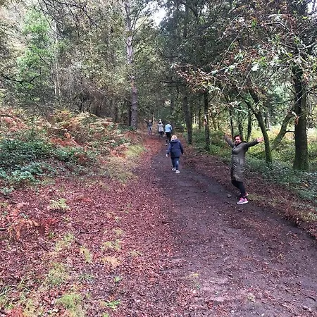 A Lonquexa Do Ganan Landsted *