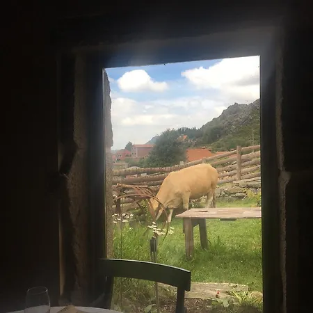Casa de Campo A Lonquexa Do Gañán