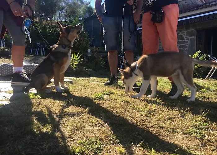 A Lonquexa Do Ganan منزل ريفي غوندومار