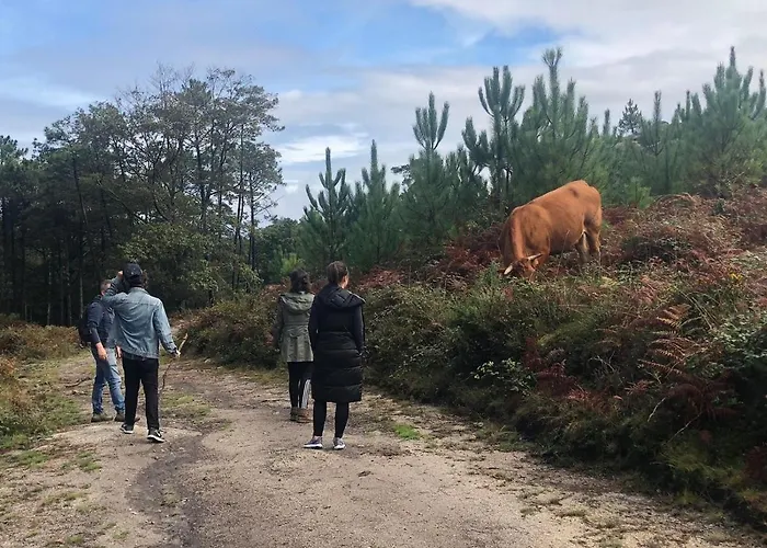 A Lonquexa Do Ganan منزل ريفي غوندومار