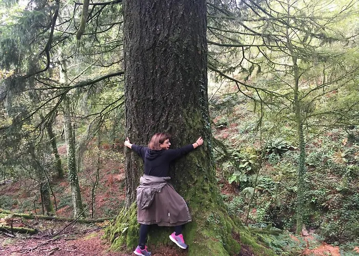 A Lonquexa Do Ganan منزل ريفي