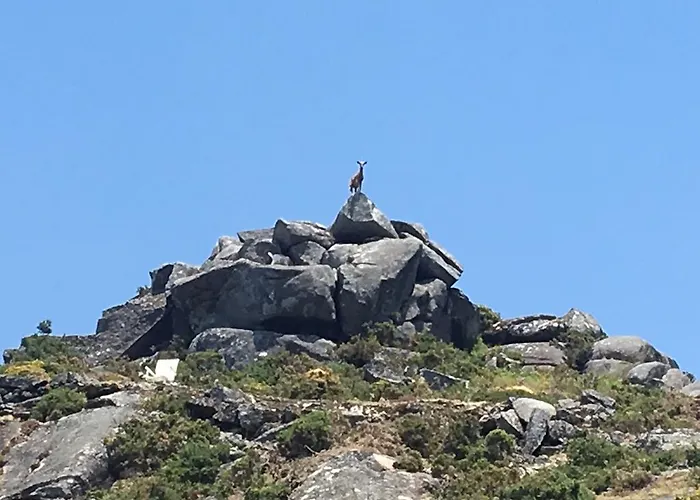 منزل ريفي A Lonquexa Do Ganan *